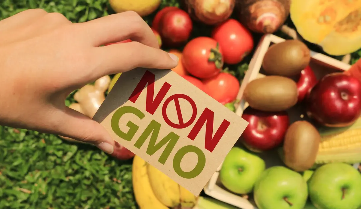 nongmobelgesi ARGEMATRİS Teknoloji | Uzay Savunma ve Robotik Yüksek Teknolojileri ARGEMATRİS Teknoloji | Uzay Savunma ve Robotik Yüksek Teknolojileri